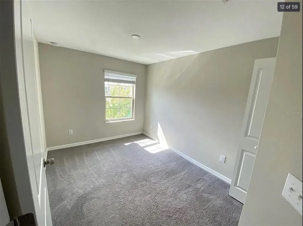 3810 Cat Mint Street Tampa FL 33619