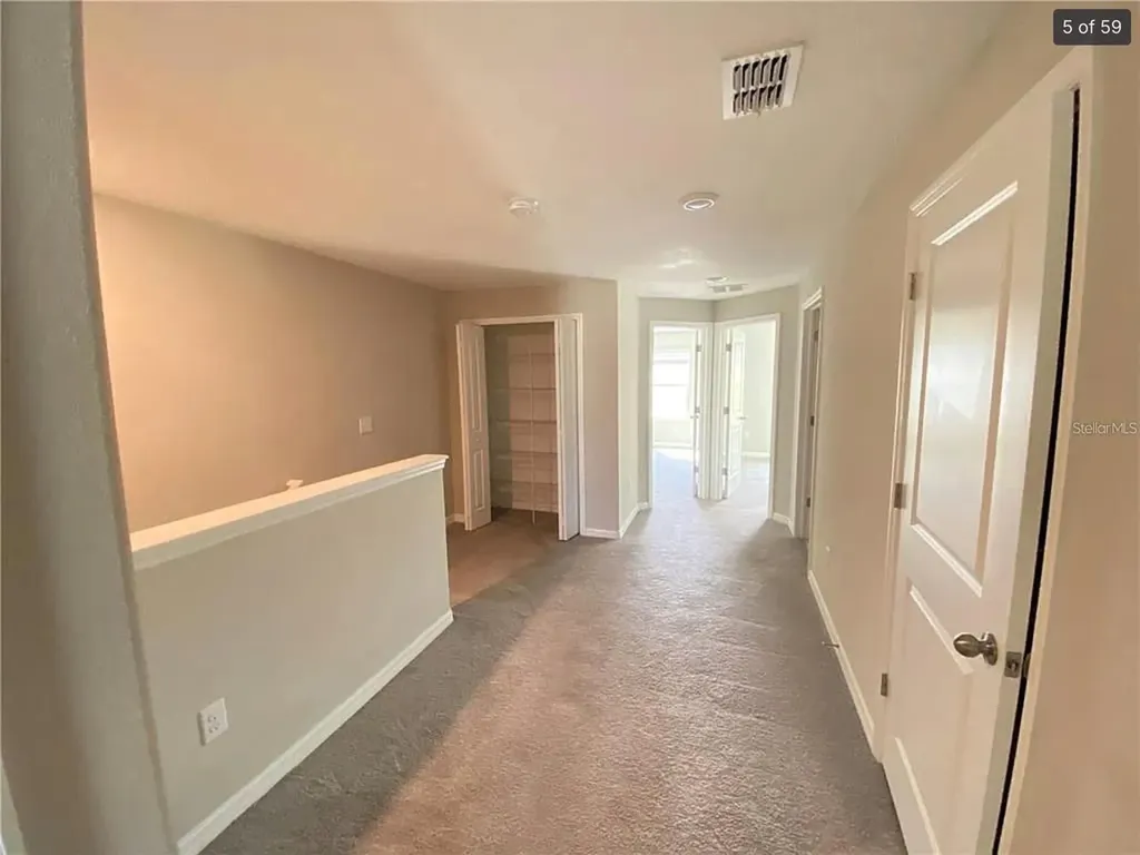 3810 Cat Mint Street Tampa FL 33619