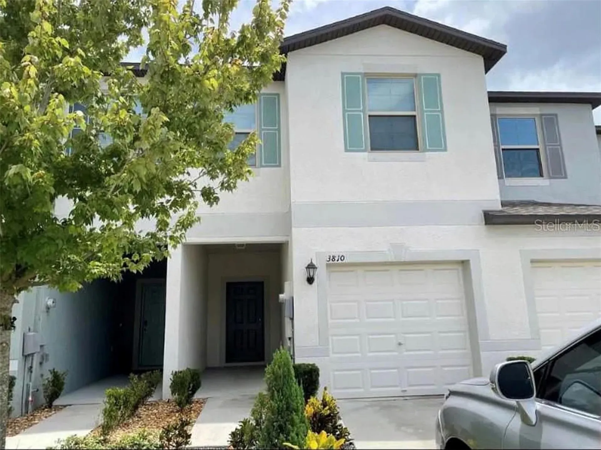 3810 Cat Mint Street Tampa FL 33619