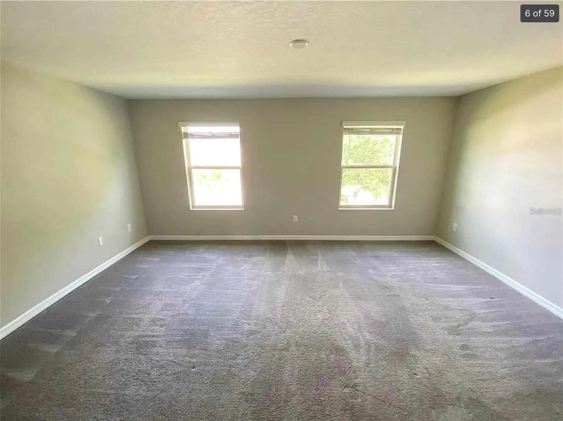 3810 Cat Mint Street Tampa FL 33619