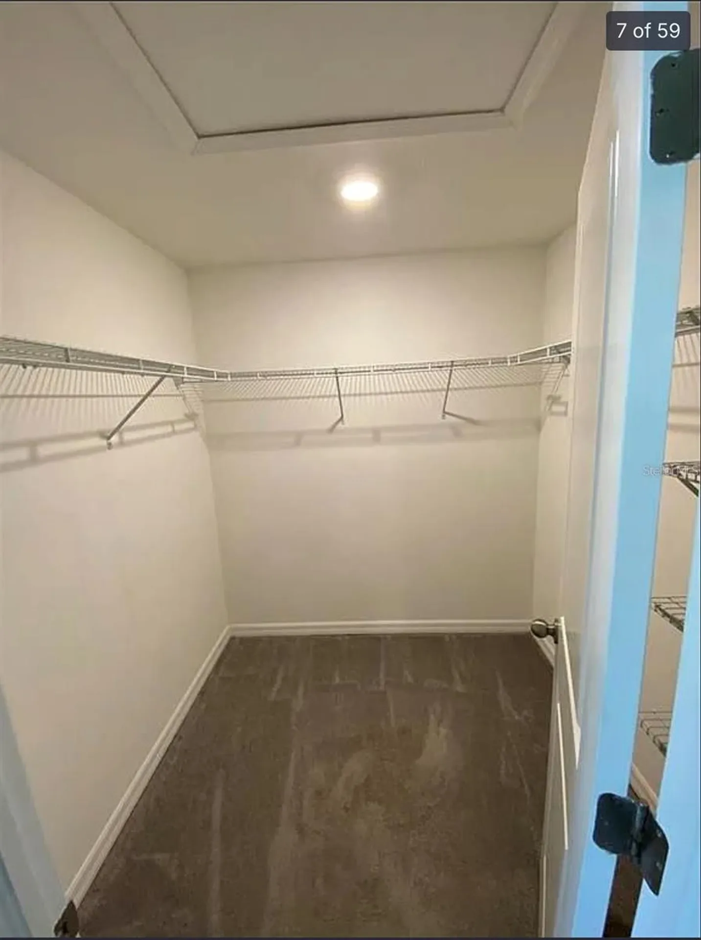 3810 Cat Mint Street Tampa FL 33619