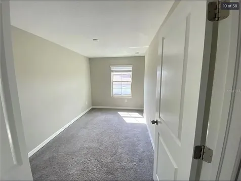 3810 Cat Mint Street Tampa FL 33619