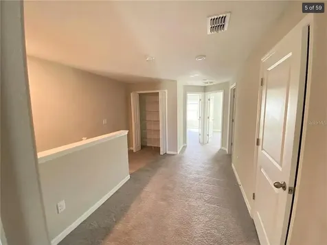 3810 Cat Mint Street Tampa FL 33619
