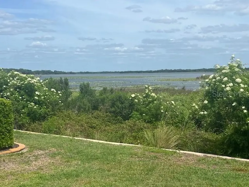 10075 Lake Miona Way Oxford FL 34484