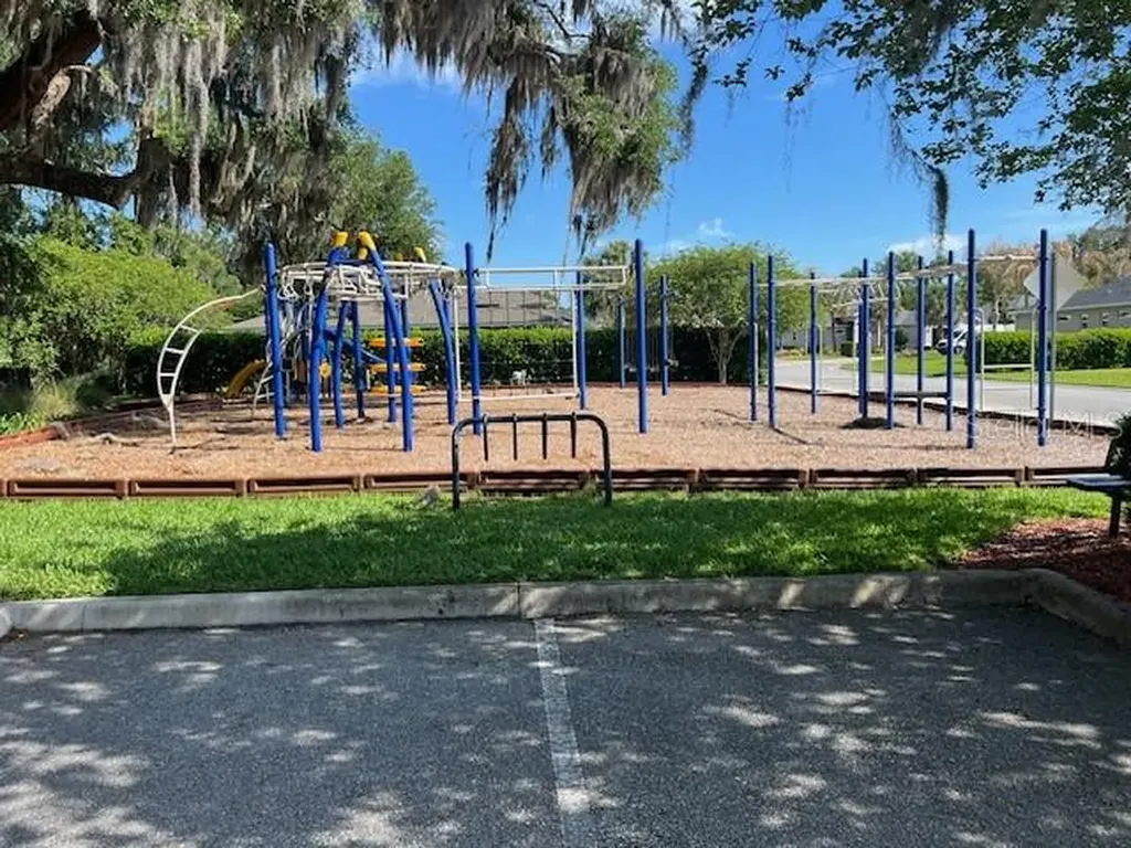 10075 Lake Miona Way Oxford FL 34484