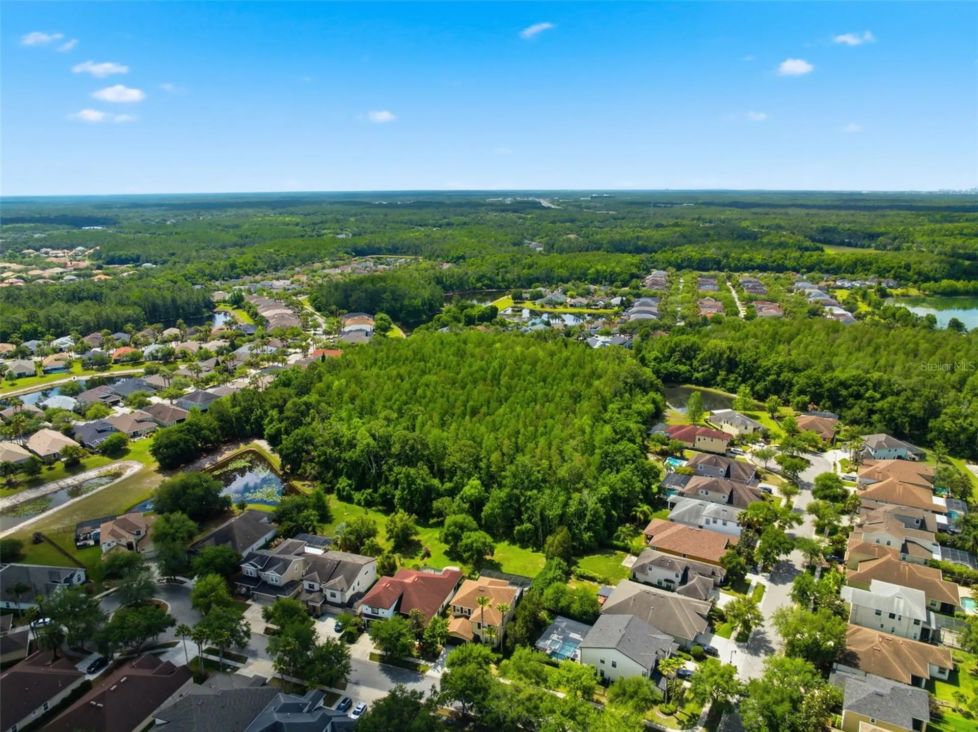 8005 Cypress Crossing Court Tampa FL 33647