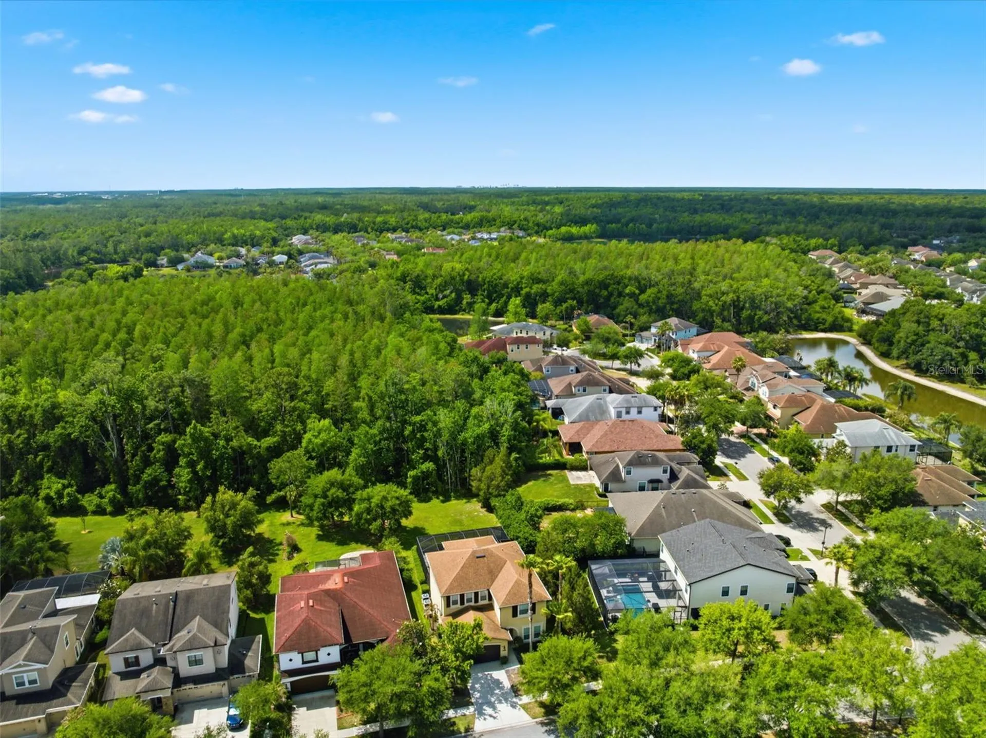 8005 Cypress Crossing Court Tampa FL 33647
