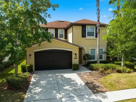 8005 Cypress Crossing Court Tampa FL 33647