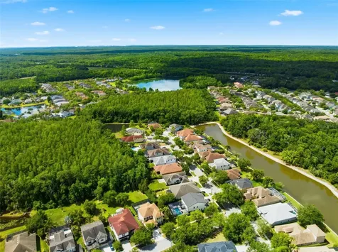 8005 Cypress Crossing Court Tampa FL 33647