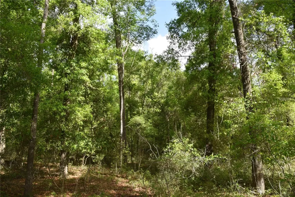 1859 NE 46th Circle High Springs FL 32643