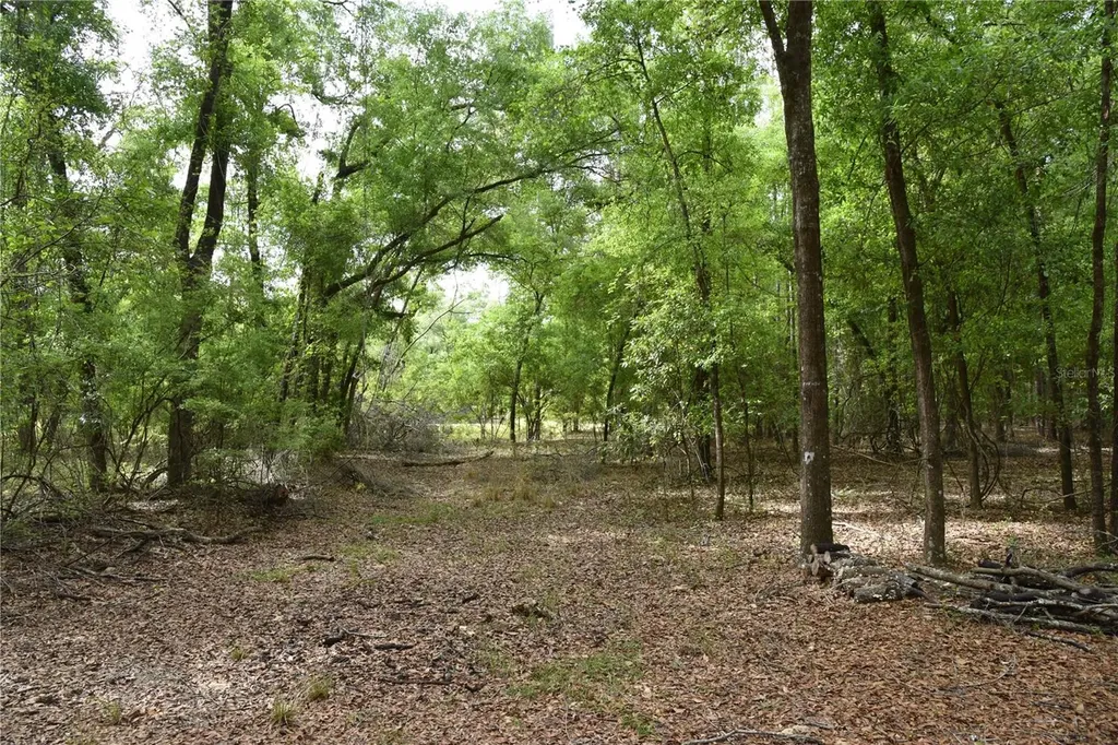1859 NE 46th Circle High Springs FL 32643