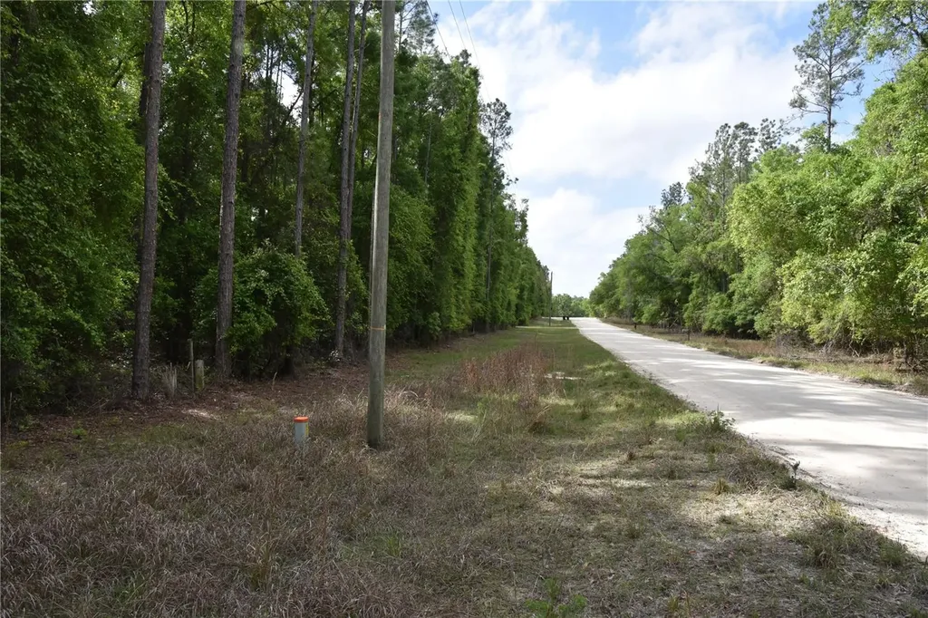 1859 NE 46th Circle High Springs FL 32643