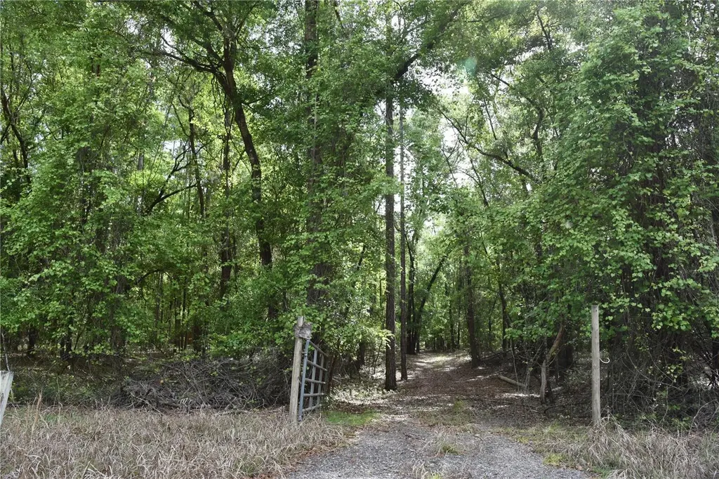 1859 NE 46th Circle High Springs FL 32643
