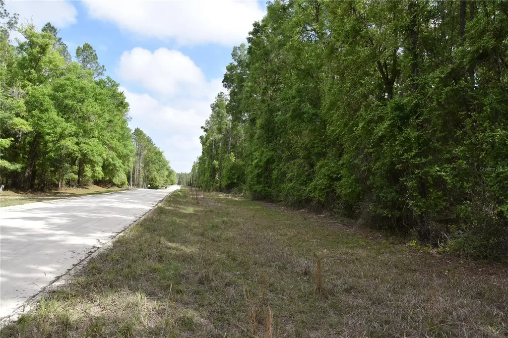 1859 NE 46th Circle High Springs FL 32643