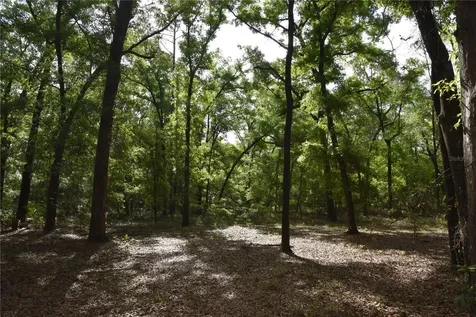 1859 NE 46th Circle High Springs FL 32643