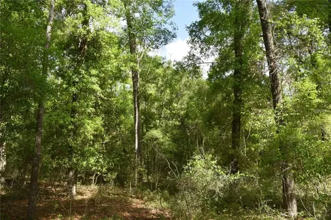 1859 NE 46th Circle High Springs FL 32643