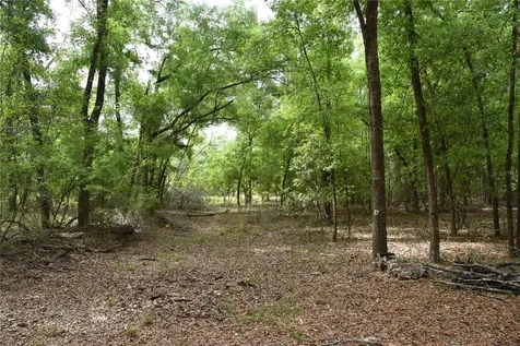1859 NE 46th Circle High Springs FL 32643
