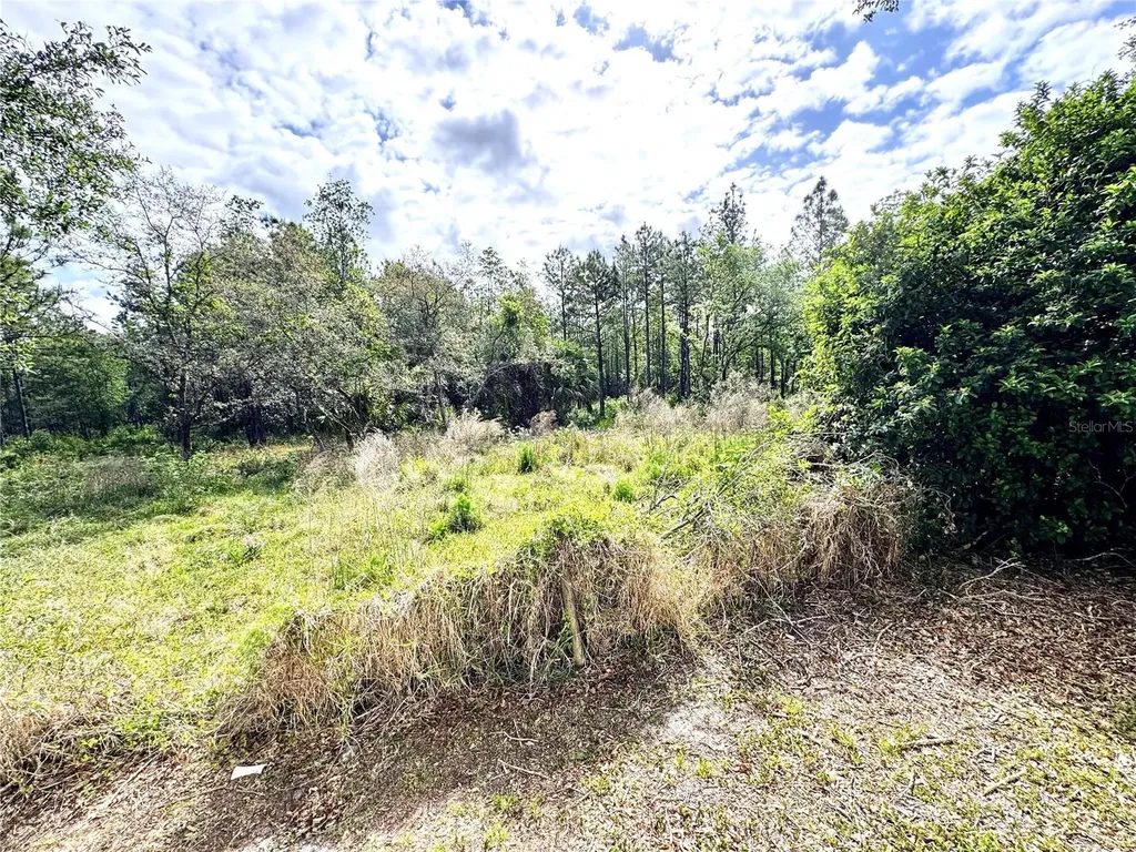 4339 Northern Dancer Way Orlando FL 32826