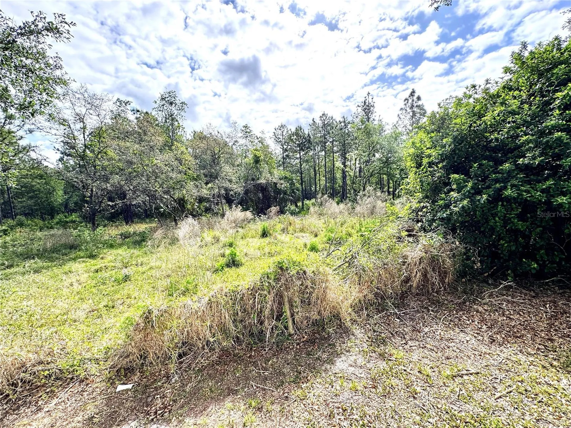 4339 Northern Dancer Way Orlando FL 32826
