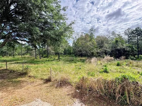 4339 Northern Dancer Way Orlando FL 32826