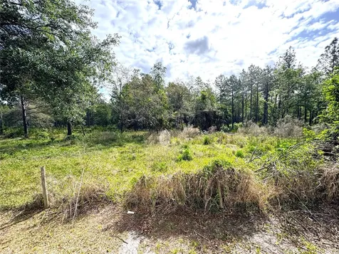 4339 Northern Dancer Way Orlando FL 32826