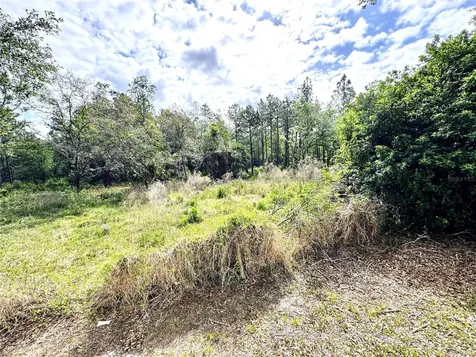 4339 Northern Dancer Way Orlando FL 32826