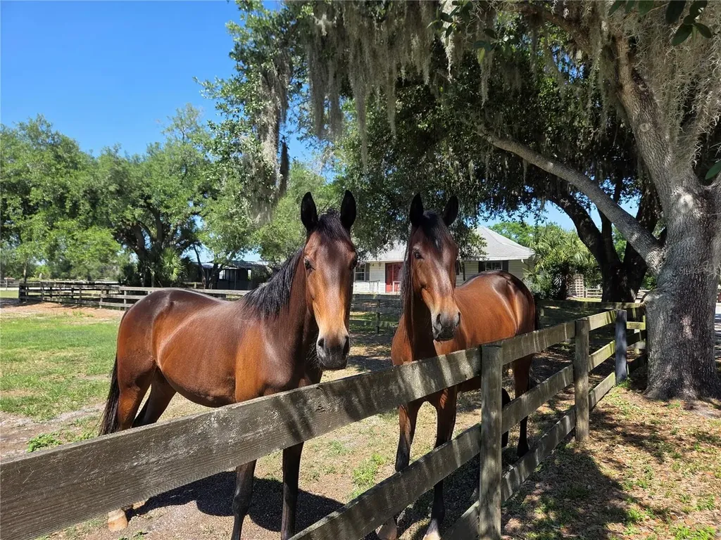 7783 Saddle Creek Trail Sarasota FL 34241