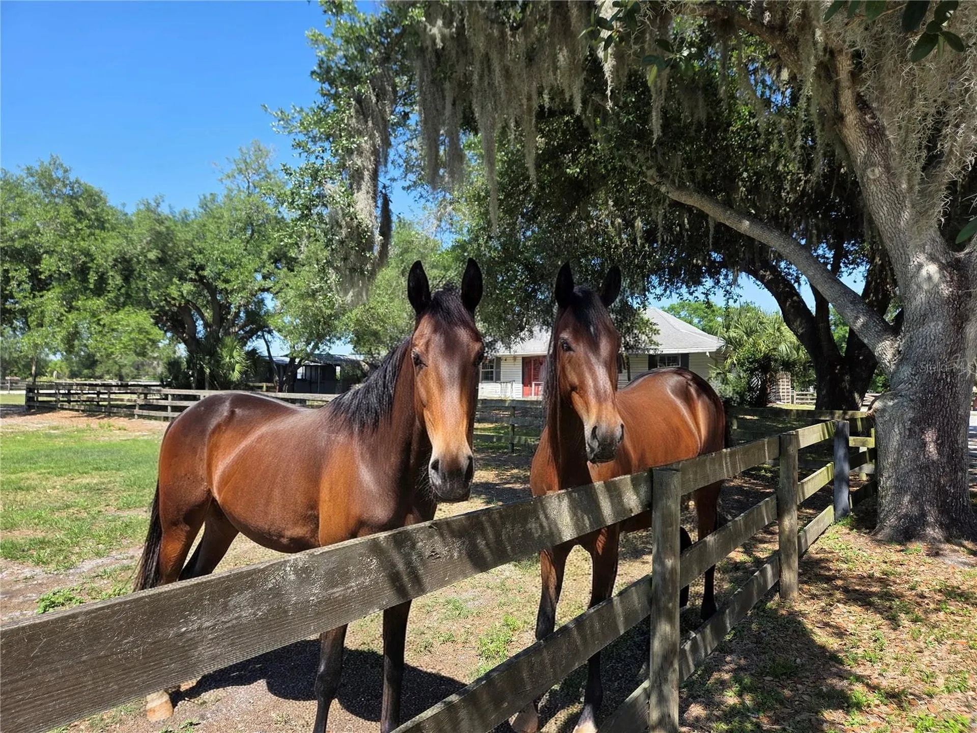 7783 Saddle Creek Trail Sarasota FL 34241
