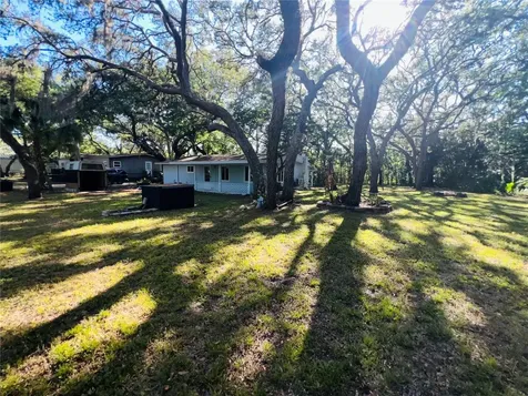 11303 Chicago Avenue New Port Richey FL 34654