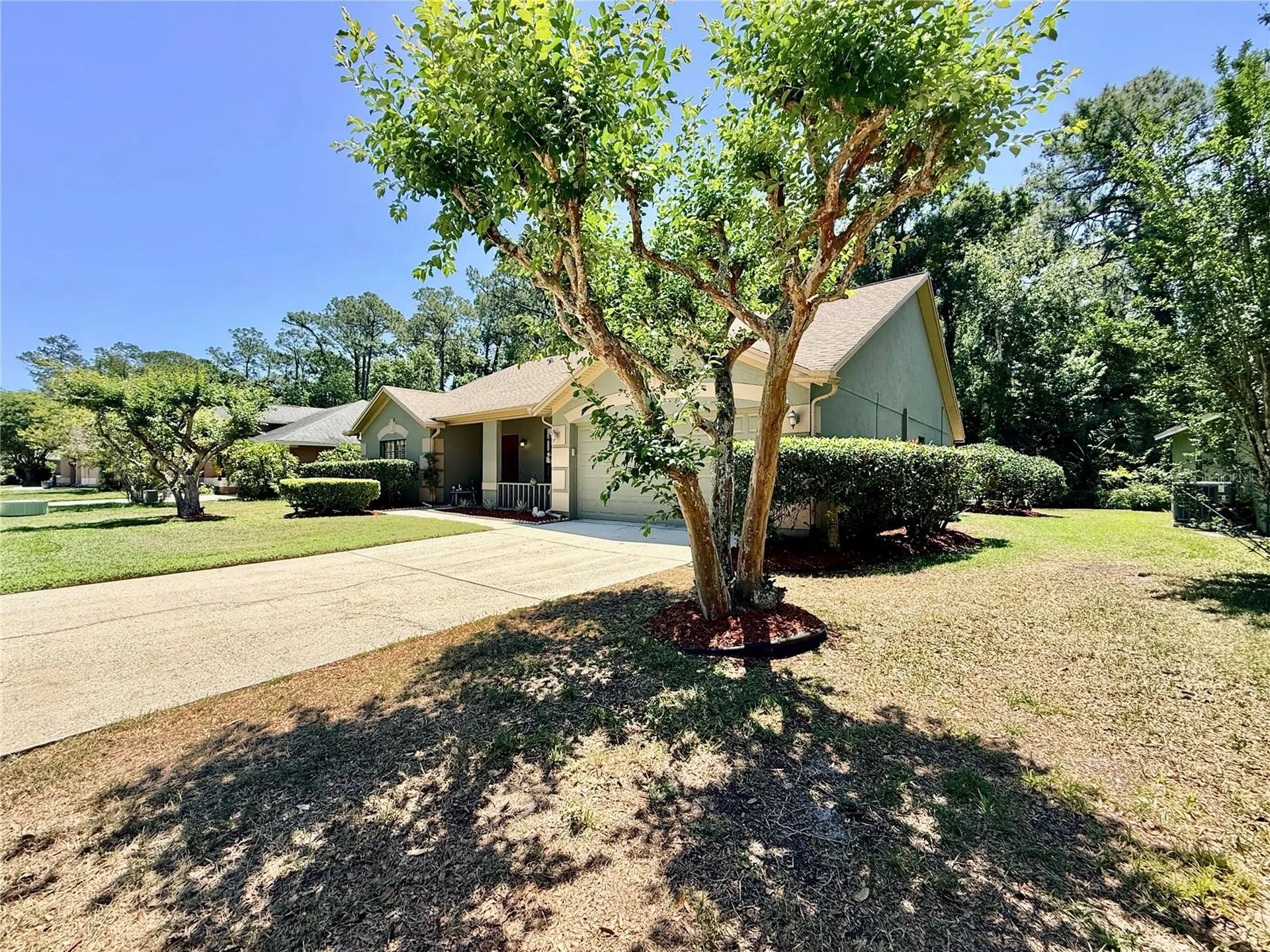 3350 Laurelwood Court Tarpon Springs FL 34688