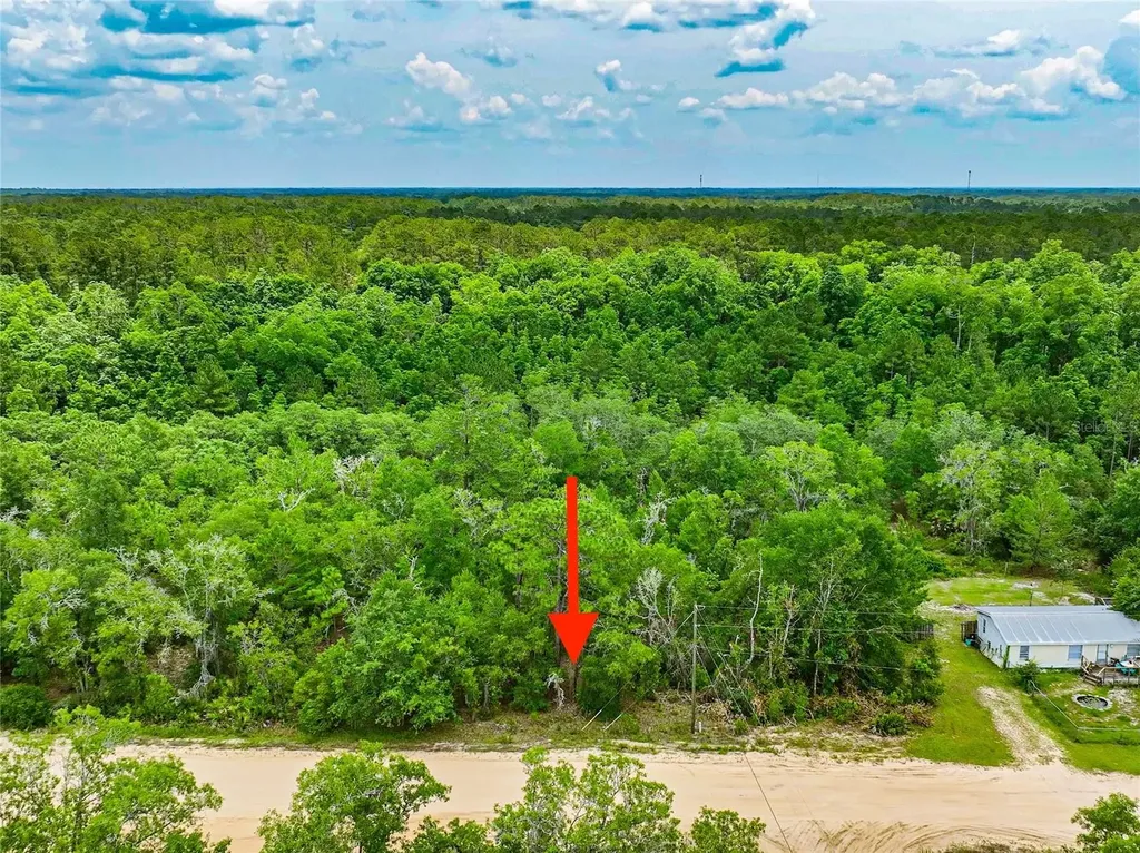 128 Carmichael Road Interlachen FL 32148