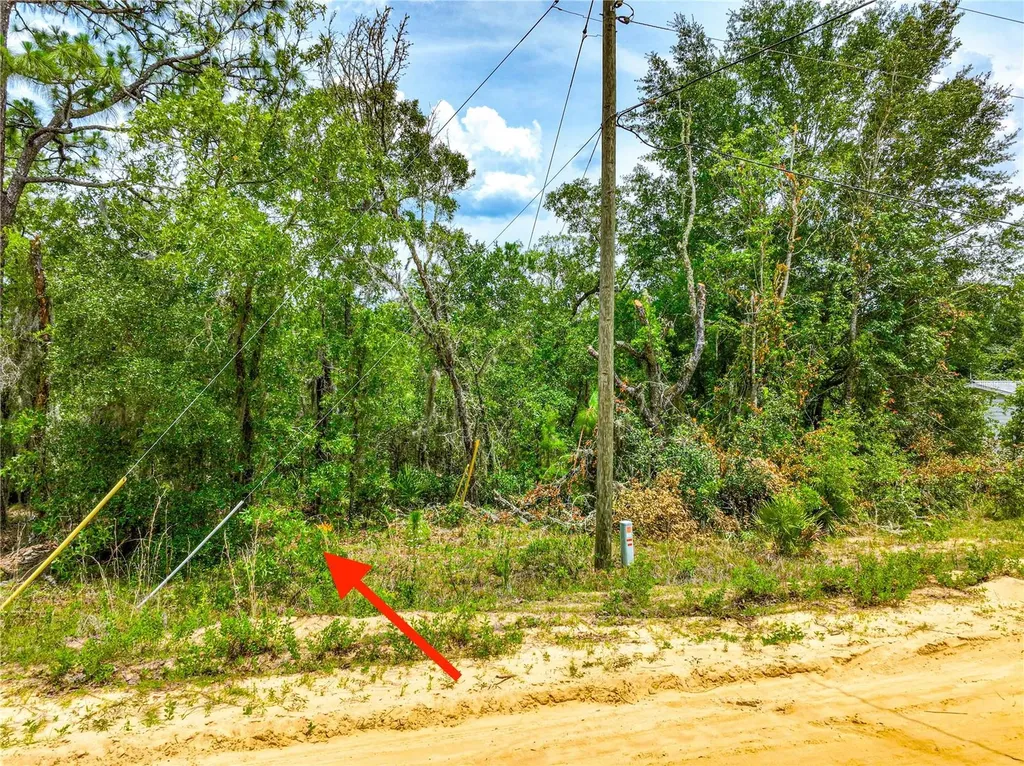 128 Carmichael Road Interlachen FL 32148