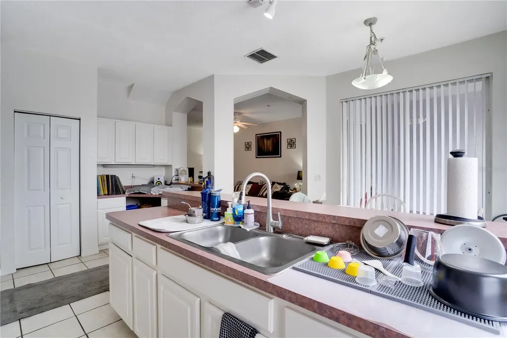 5011 Sunridge Palms Drive Tampa FL 33617