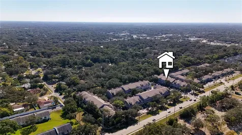 5011 Sunridge Palms Drive Tampa FL 33617