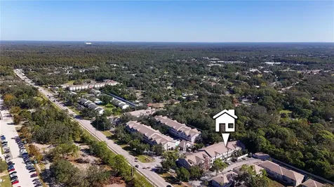 5011 Sunridge Palms Drive Tampa FL 33617