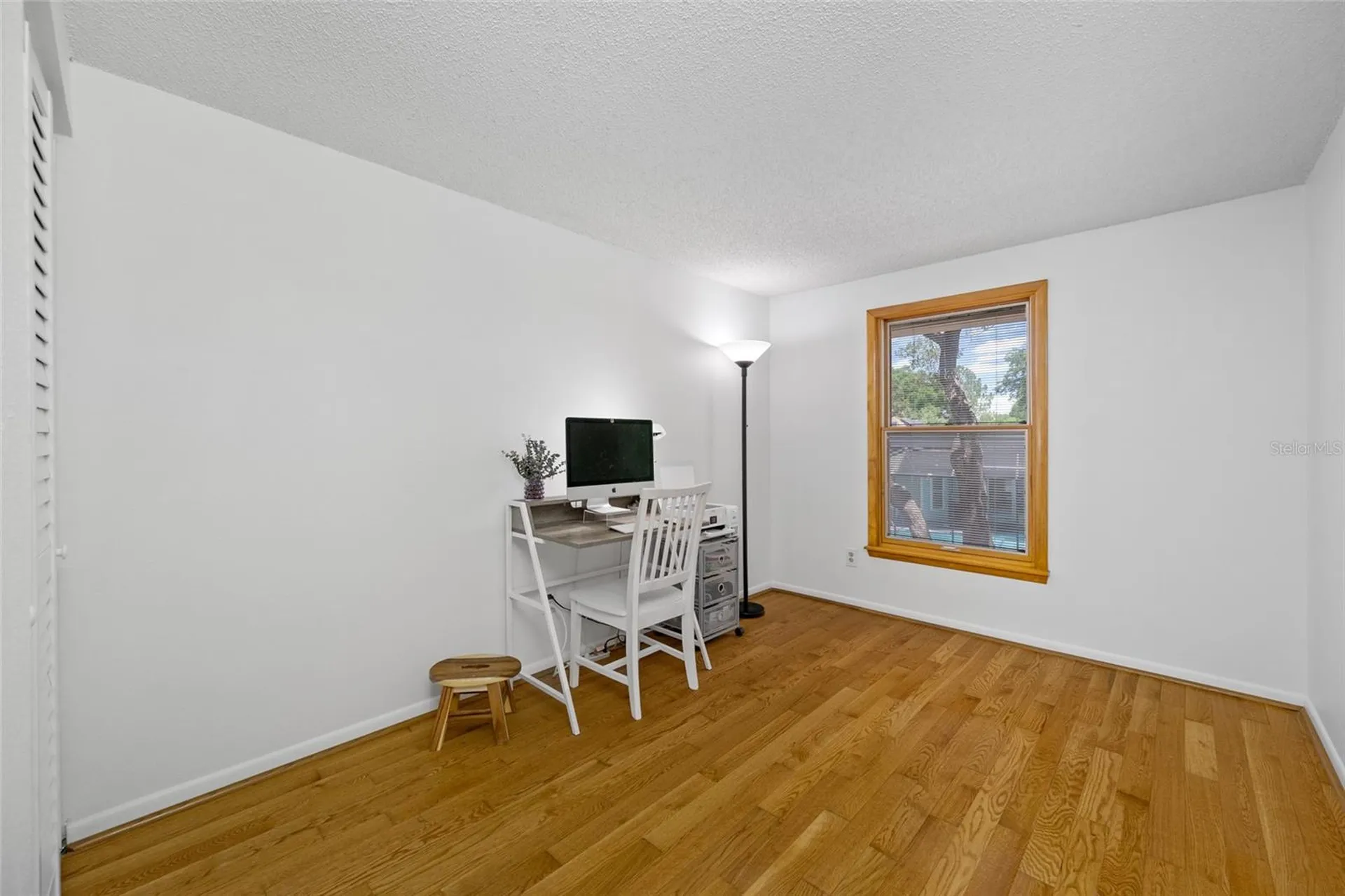 23907 Lake Bark Court Lutz FL 33559