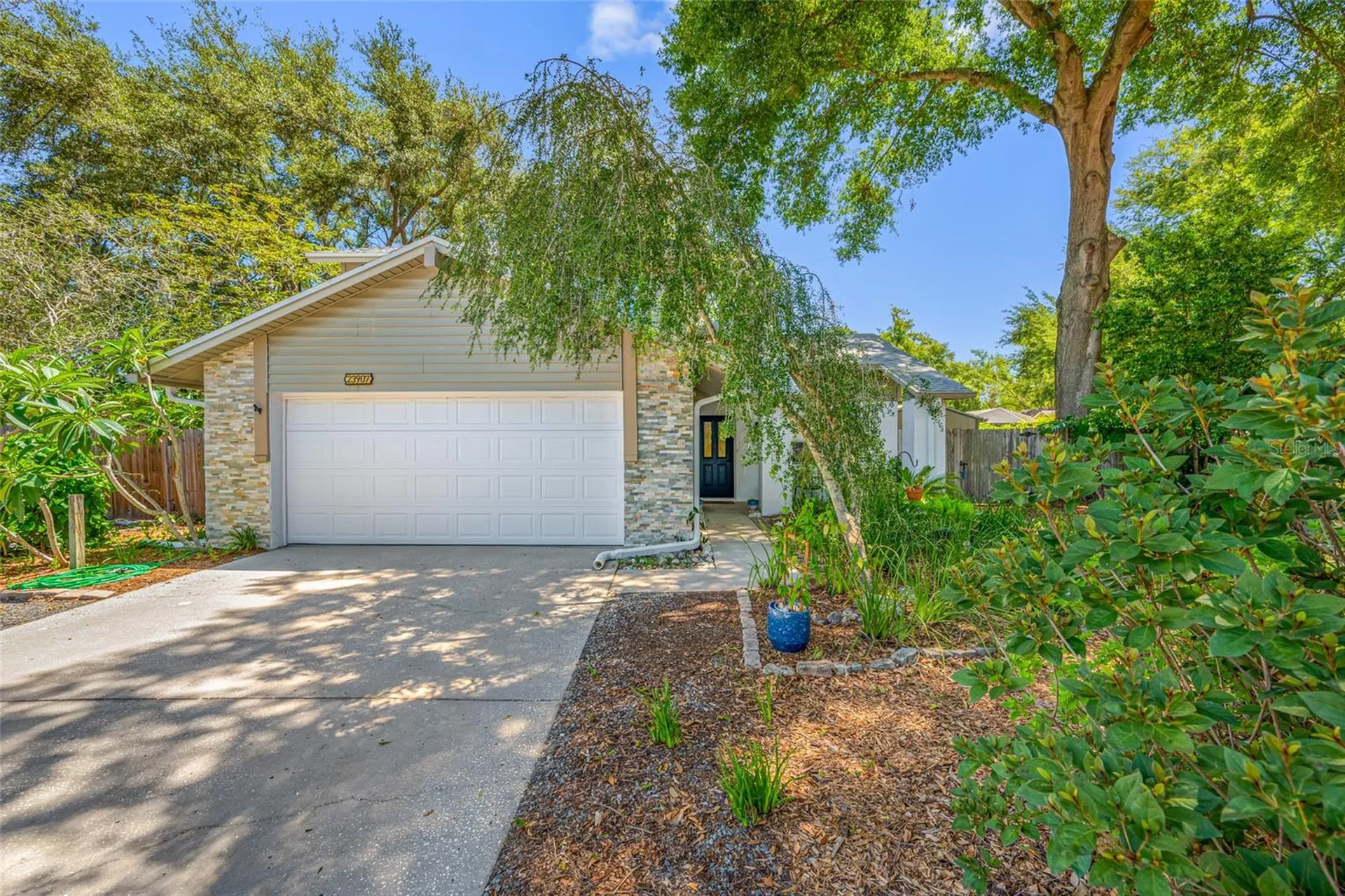 23907 Lake Bark Court Lutz FL 33559