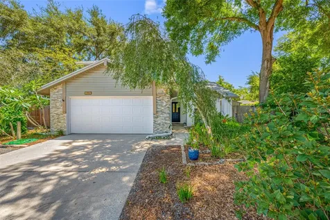 23907 Lake Bark Court Lutz FL 33559