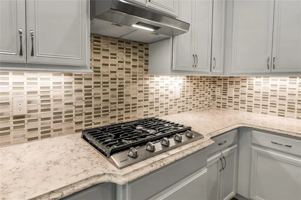 8492 Hartford Way Mount Dora FL 32757
