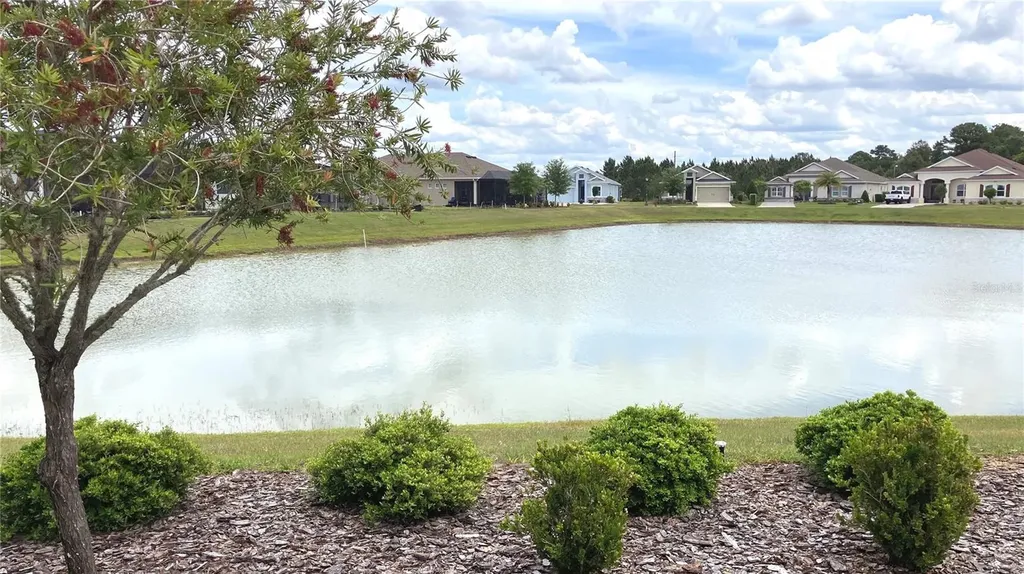 8492 Hartford Way Mount Dora FL 32757