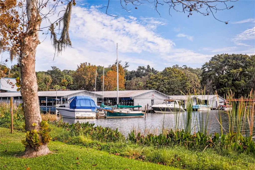 8492 Hartford Way Mount Dora FL 32757