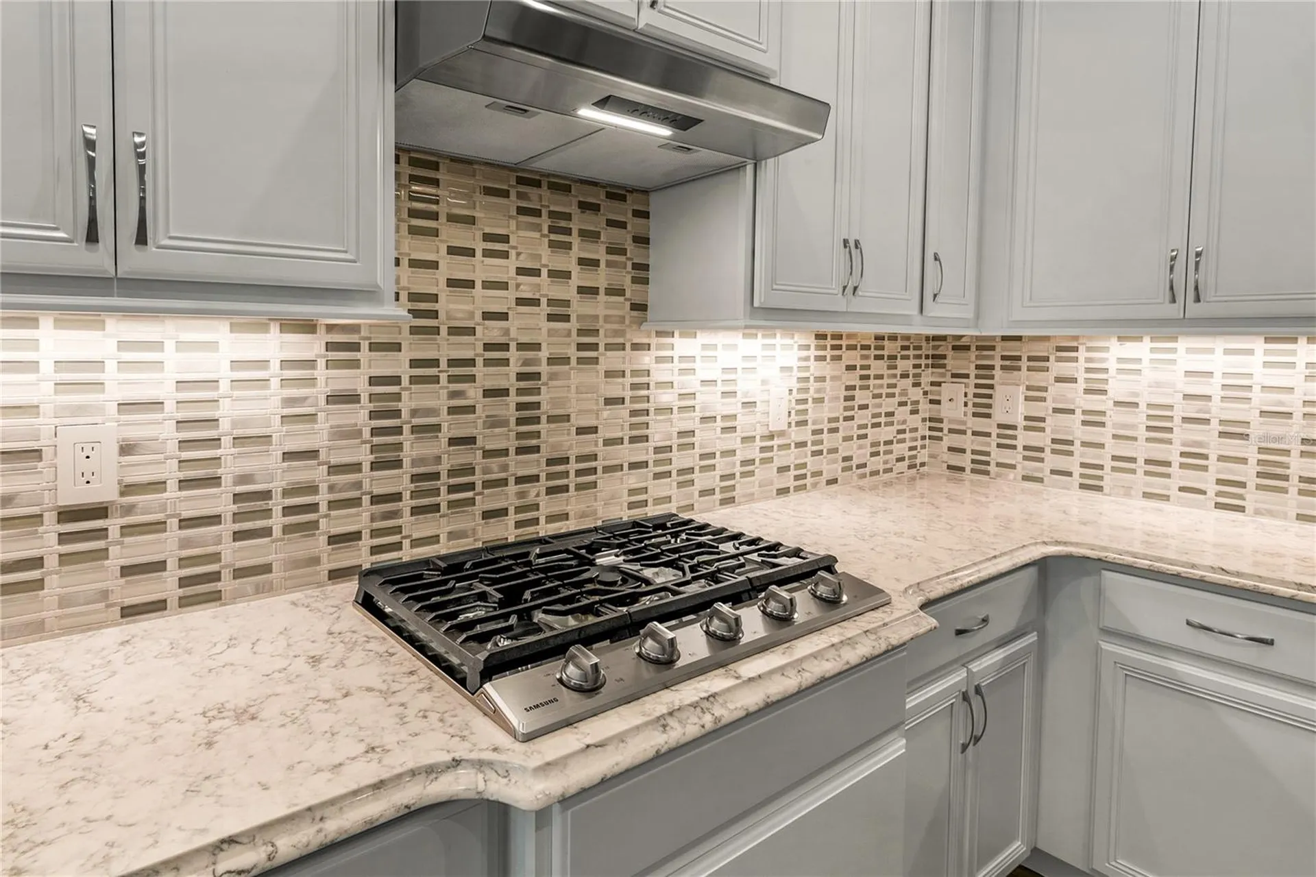 8492 Hartford Way Mount Dora FL 32757