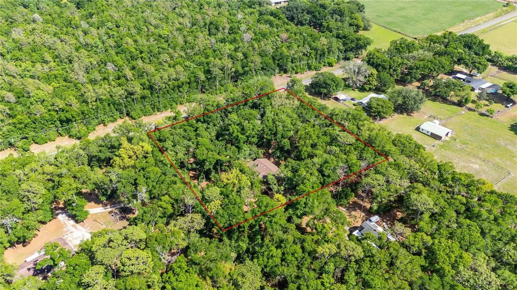 35935 Lana Drive Dade City FL 33523