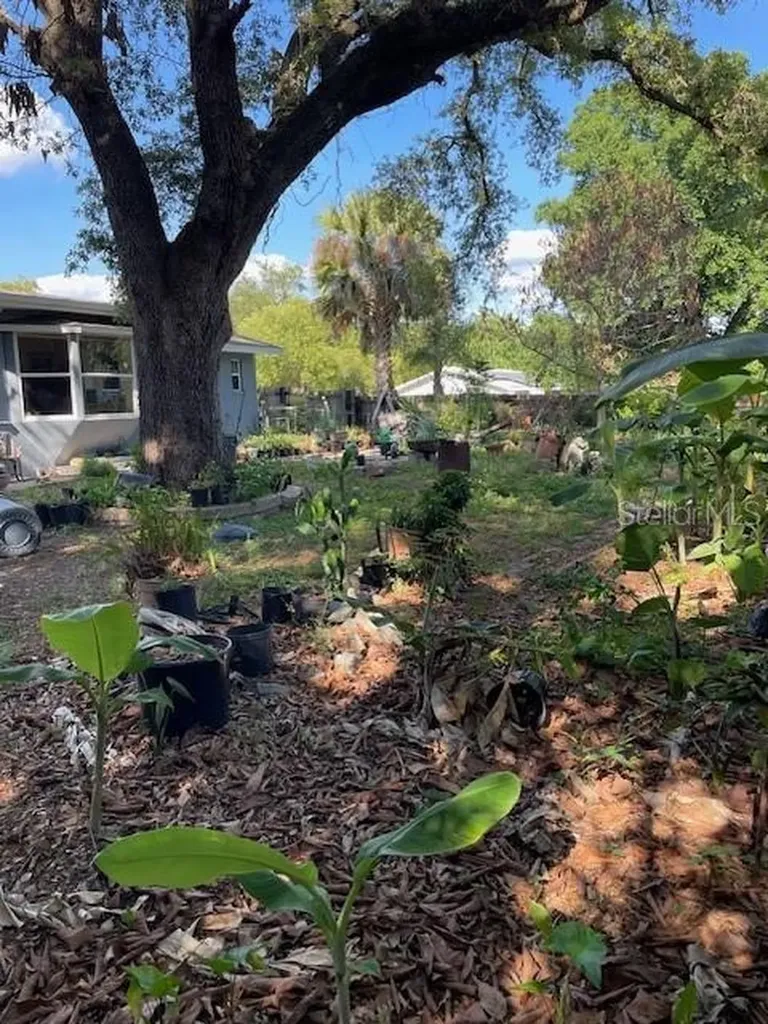 6800 Anoka Drive Orlando FL 32818