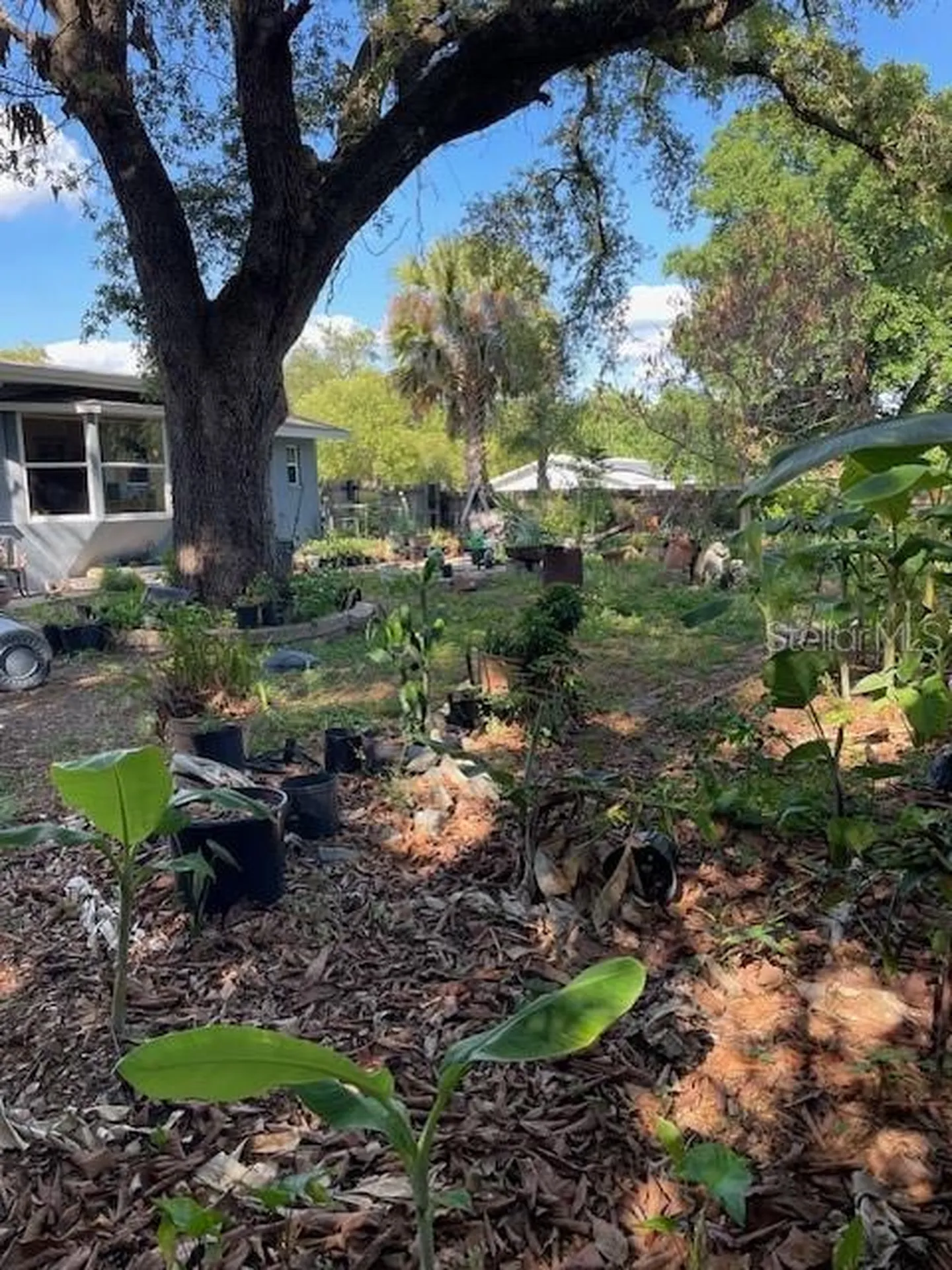 6800 Anoka Drive Orlando FL 32818