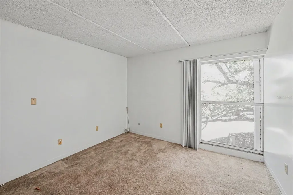3325 Bayshore Boulevard Tampa FL 33629