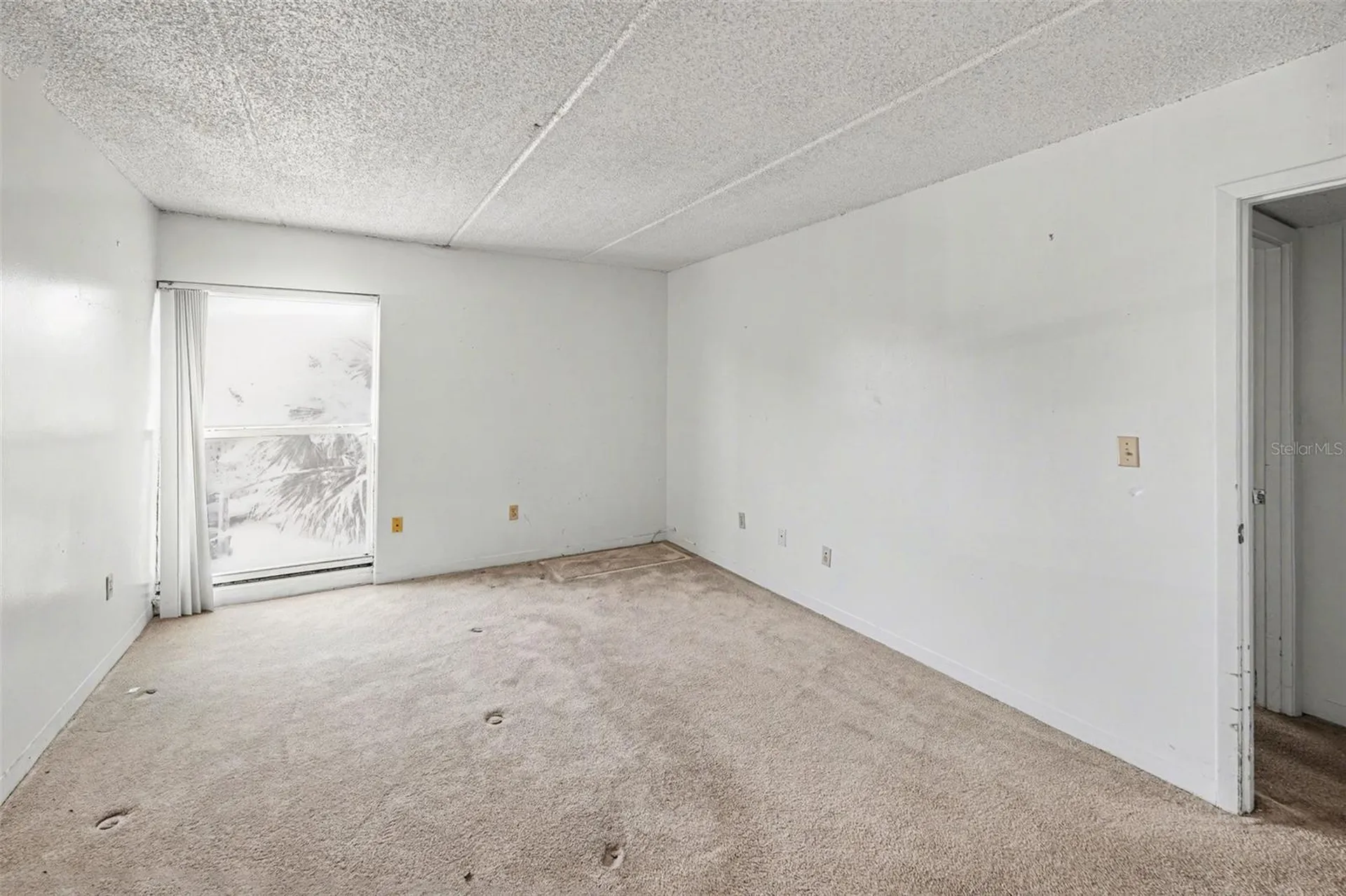3325 Bayshore Boulevard Tampa FL 33629