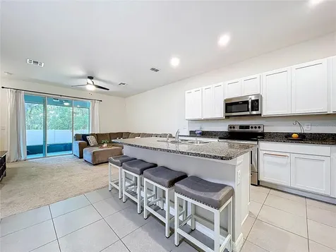 3313 Pleasant Willow Court Brandon FL 33511