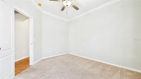 7447 Surrey Pines Drive Apollo Beach FL 33572