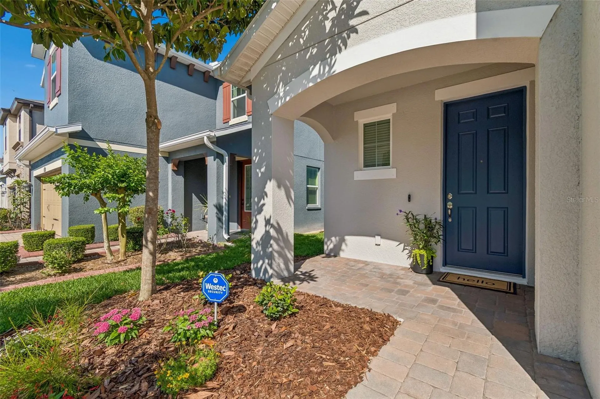 4146 Welling Terrace Land O Lakes FL 34638